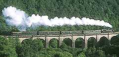 Steam Train on local viaduct