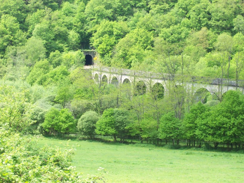 Steam Train on local viaduct